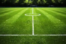 国乒失利引,风度争议,教练面露沉,PG电子官网,PG电子试玩,PG电子模拟器,PG电子平台,PG电子下载