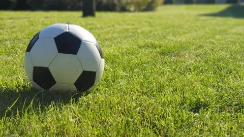 班凱羅評析：缺乏充分对抗，仅限基础训练