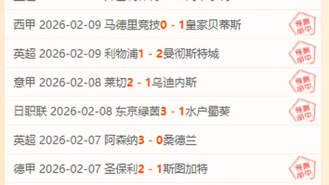 独行侠连胜猛龙，东契奇三双表现亮眼；活塞击败尼克斯，延续胜利脚步